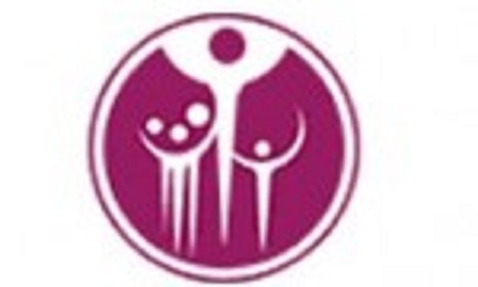 African Leadership Institute logo